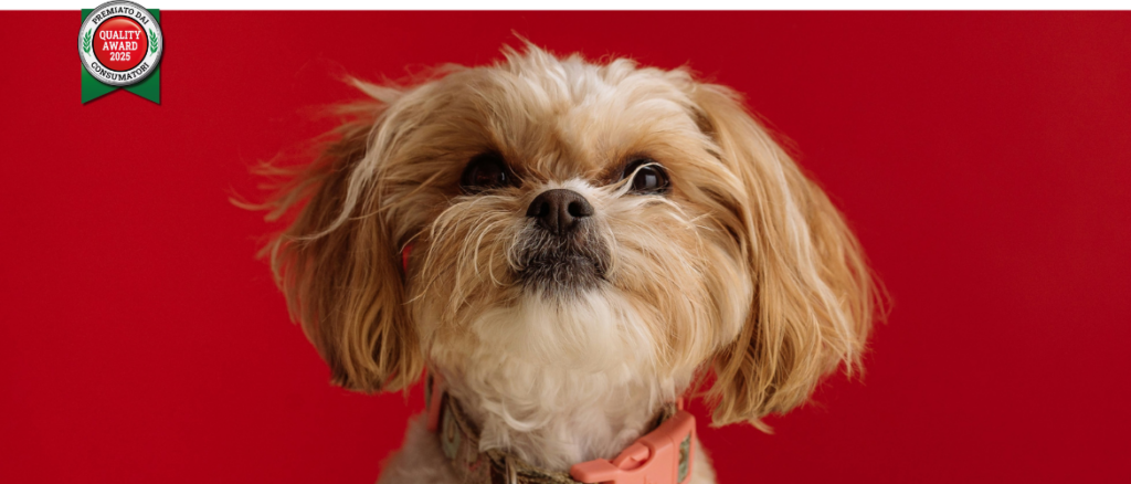 Le Quality Award est une certification indépendante qui distingue les marques reconnues pour leur qualité perçue élevée.